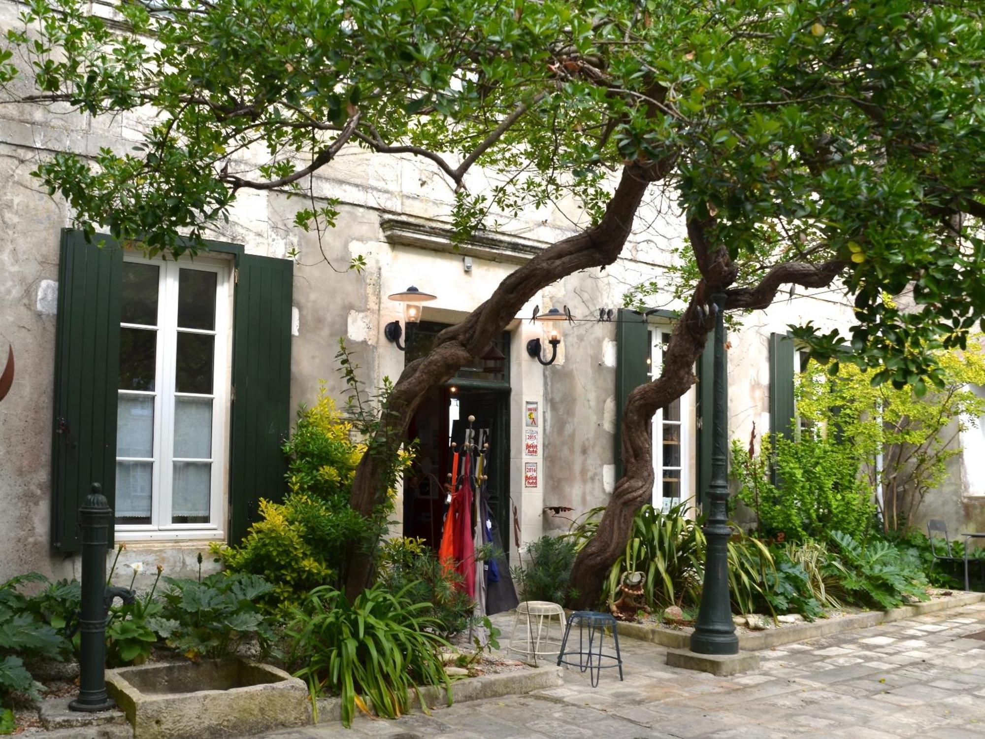 Bed and Breakfast Le Mole La Flotte Exterior foto